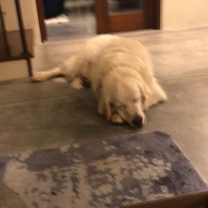 Meet your Posher, Ana